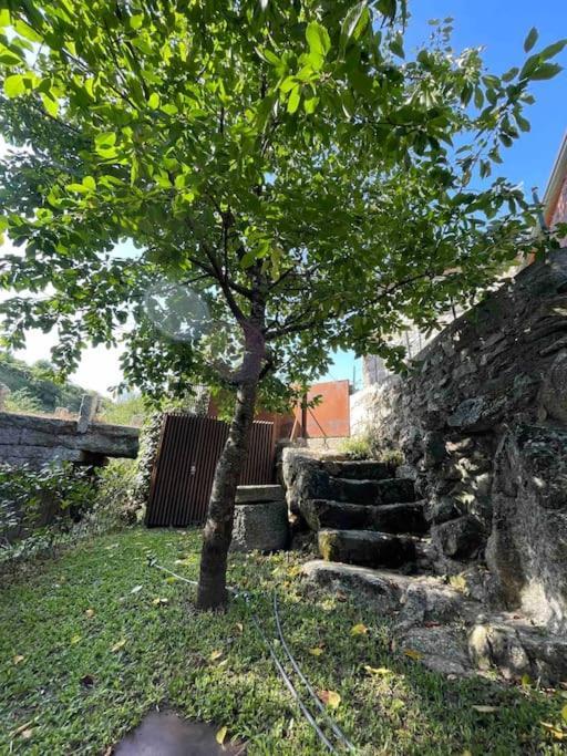 Casa Da Tintim Em Baiao Villa Kültér fotó