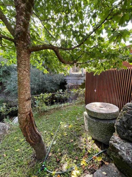 Casa Da Tintim Em Baiao Villa Kültér fotó