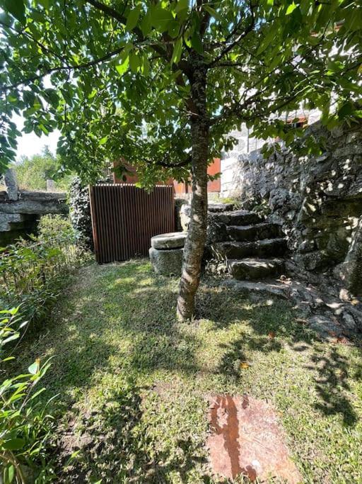 Casa Da Tintim Em Baiao Villa Kültér fotó